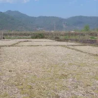 زمین کشاورزی 6500 متری