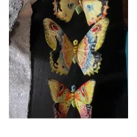 دیوارکوب چنس جینی پروانه ساخت ایتالیا