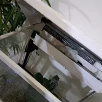 آکواریوم|ماهی|فردیس, شهرک راه آهن|دیوار