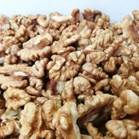 فروش خرده و عمده مغز گردوی غنچه و دوپر