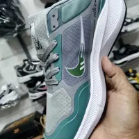 ارزان کفش|کیف، کفش، کمربند|کرمان, |دیوار