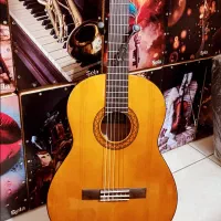 گیتار والنسیا تک و عمده|گیتار، بیس، امپلیفایر|ورامین, ورامین|دیوار