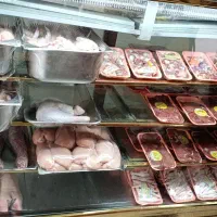 به یه نفر کار گر ماهر مرغ خرد کن نیازمندیم|استخدام خدمات فروشگاه و رستوران|رباط‌کریم, نصیرشهر|دیوار