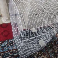 قفس|لوازم جانبی حیوانات|اسدآباد, |دیوار