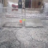 یک جفت اسپیکر