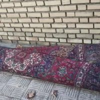 فرش دستبافت|فرش|سلماس, |دیوار