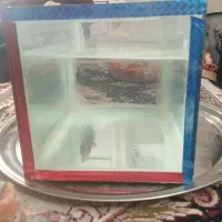 آکواریوم کوچک و سنگ هوا خطی