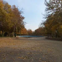 راهنمایی نیاز دارم