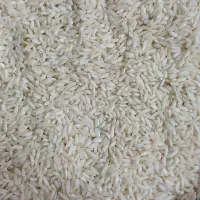 برنج شمال به اصطلاح محلی ما(قلوه)به قیمت مناسب|خوردنی و آشامیدنی|تهران, امیر بهادر|دیوار