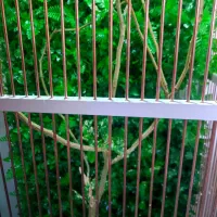 قفس بزرگ پرنده|لوازم جانبی حیوانات|الوند, |دیوار