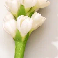 شمع گل مریم دست‌ساز