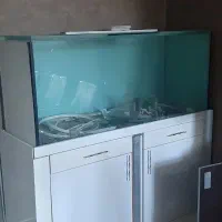 آکواریوم