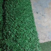 فنس چمنی کارکرده کره ای