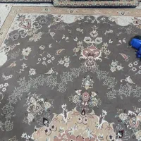 فروش فرش|فرش|الوند, |دیوار