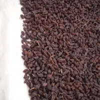 فخری پاک شده|خوردنی و آشامیدنی|میاندوآب, |دیوار