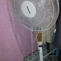 پنکه