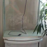 آکواریوم ماهیران|ماهی|تهران, مشیریه|دیوار