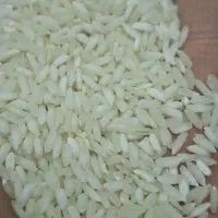 برنج محلی صحنه