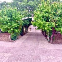 باغ برای مراسم گنجایش ۱۹۰نفر|اجارهٔ کوتاه‌مدت ویلا و باغ|هشتگرد, شهرک افشاریه|دیوار