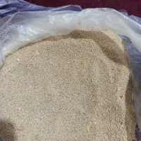 بذر گل|گل و گیاه طبیعی|نورآباد, |دیوار