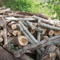 خریدار انواع چوب نقدی‌ملایرهمدان‌نهاوندبروجرد‌درود