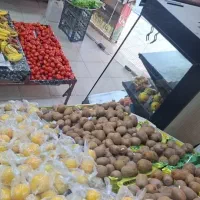 واگذاری میوه فروشی