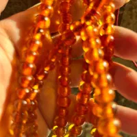 تسی کهنه بوی،شدید درشت ۳ تا|بدلیجات|کرج, باغستان|دیوار