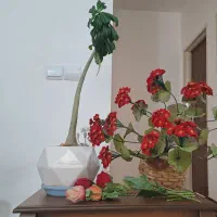گلدان