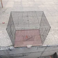 قفس پرنده