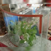 فروش آکواریم ، آکواریوم اداری ، آکواریم بزرگ