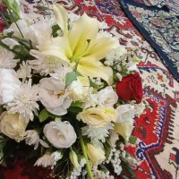 گل طبیعی مجلسی سالم|گل و گیاه طبیعی|تبریز, |دیوار
