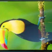 گوشی سامسونگ A30 S