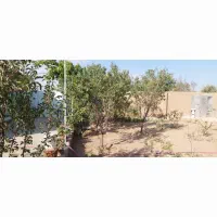 باغ-350-متری