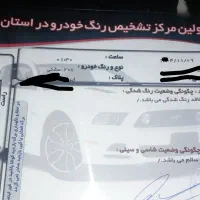 207پانا مدل 99|خودرو سواری و وانت|رفسنجان, |دیوار