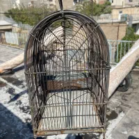 قفس دست بافت بروجردی قدیمی