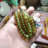 سندلوس سبزکاهویی شیخک عربی