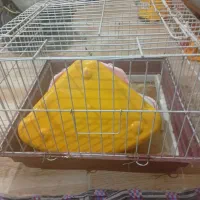 قفس خرگوش به همرای جای دستشویی و قفسه پرنده