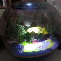 آباژور رومیزی لوکس