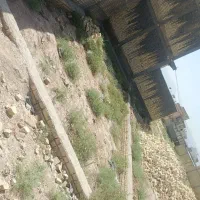 زمین سطان آباد  کوچه 4 تیر|فروش زمین و ملک کلنگی|شیراز, سلطان آباد|دیوار