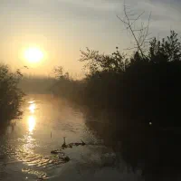 فروش-و-ساخت-ویلا-شمال-سبز