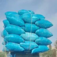 کاه گندم