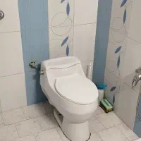 توالت فرنگی شرکت آرمیتاژ   عالی