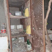 فروش چفت توری