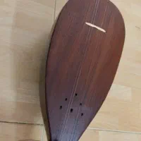 تنبور کاسه یه تیکه
