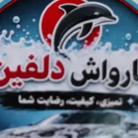نیروی کار در کارواش