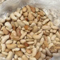 لوبیا کرم کپسولی بوجاری