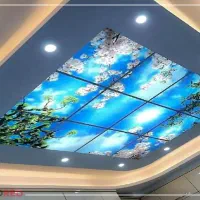 کناف کاری دکولوکس|خدمات پیشه و مهارت|زنجان, |دیوار