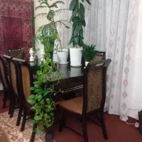 میزناهارخوری