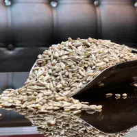 عرضه دست اول انواع مغز تخمه و مغز کدو