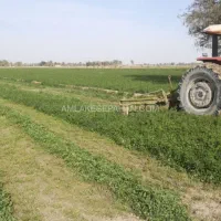 اجاره ۴هکتار زمین کشاورزی آبی